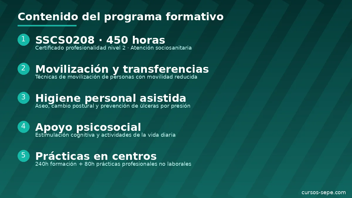 Formación cuidador profesional atención domicilio dependencia personas mayores