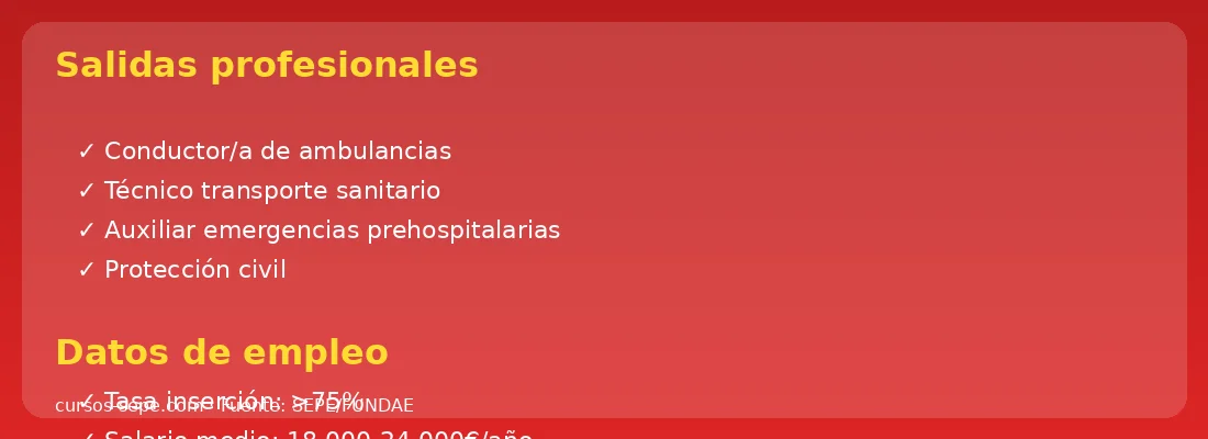 Salidas profesionales transporte sanitario ambulancia tasa inserción salarios
