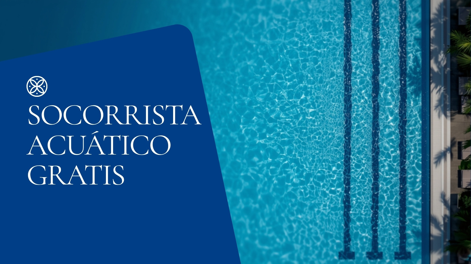 Curso Socorrista SEPE 2026 (AFDP0109): gratis, requisitos y convocatorias verano